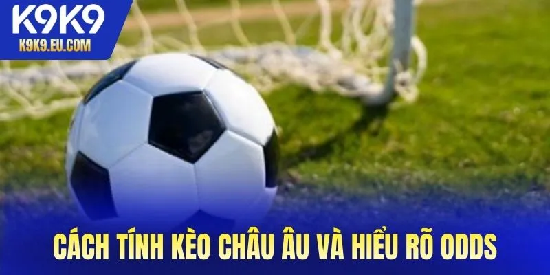 Cách tính kèo châu Âu và hiểu rõ odds tại K9K9