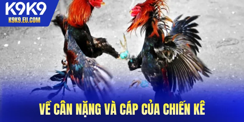 Đá Gà Cựa Sắt Đá Gà Cựa Sắt