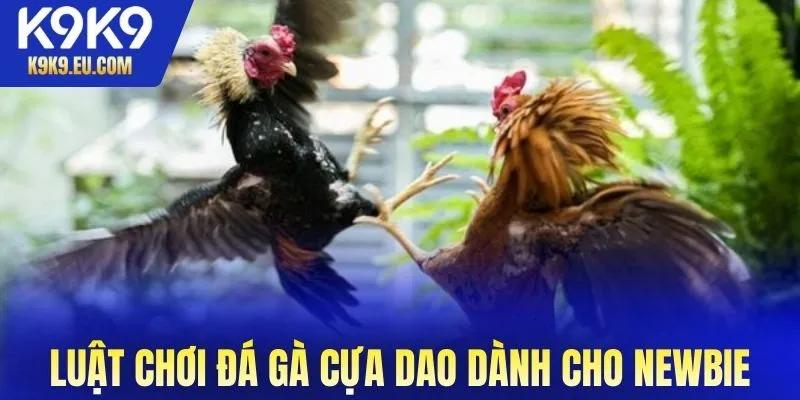 đá gà cựa dao đá gà cựa dao