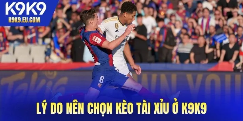 Lý do nên chọn cược tài xỉu ở K9K9