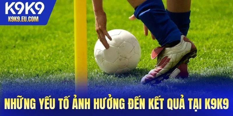 Những yếu tố ảnh hưởng đến kết quả tại K9K9
